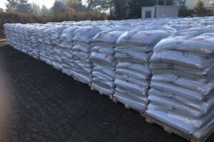 Ekogroszek karlik pgg