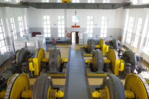 Ew galaznia mala fot energa imgp2914 m