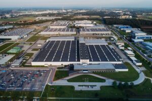 Fabryka psa tychy psa