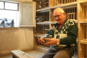 Hain jerzy wariacje JECH