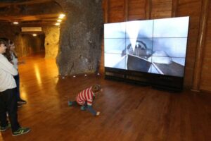 Komora witosa r stachurski