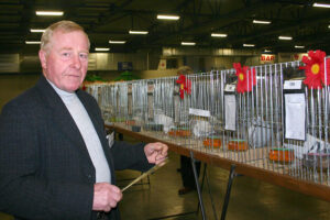 Langiewicz hodowca JECH