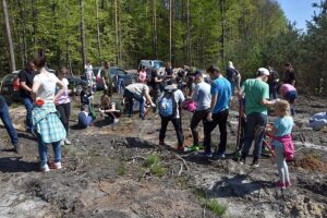 Lasy pelne energii pgeobrot