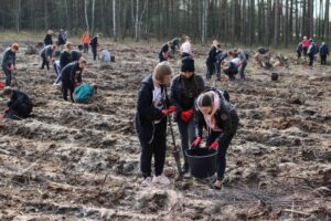 Lasy pelne energii pge