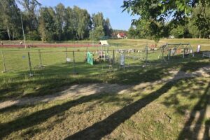 Ledziny deformacje pgg