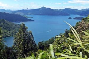 Nowa zelandia krajobraz ak