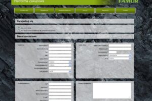 Platforma zakupowa famur famur