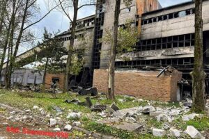 Przyjazn sosnowiec998