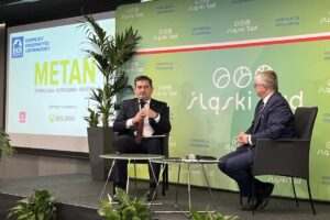 Rogala slaskilad arch