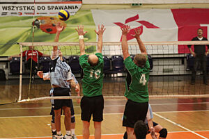 Siatkowka elgor hansen elgorhansen