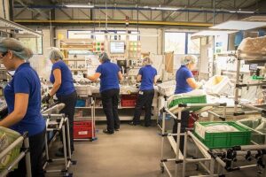 Sumirikoi umsosnowiec