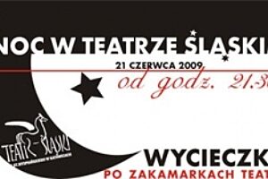 Teatr slaski noc