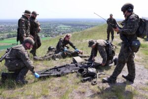 Terytorialsi skalny arc