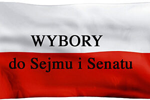 Wybory flaga