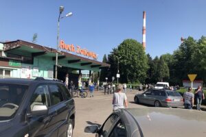 Zofiowka kacper downarowicz