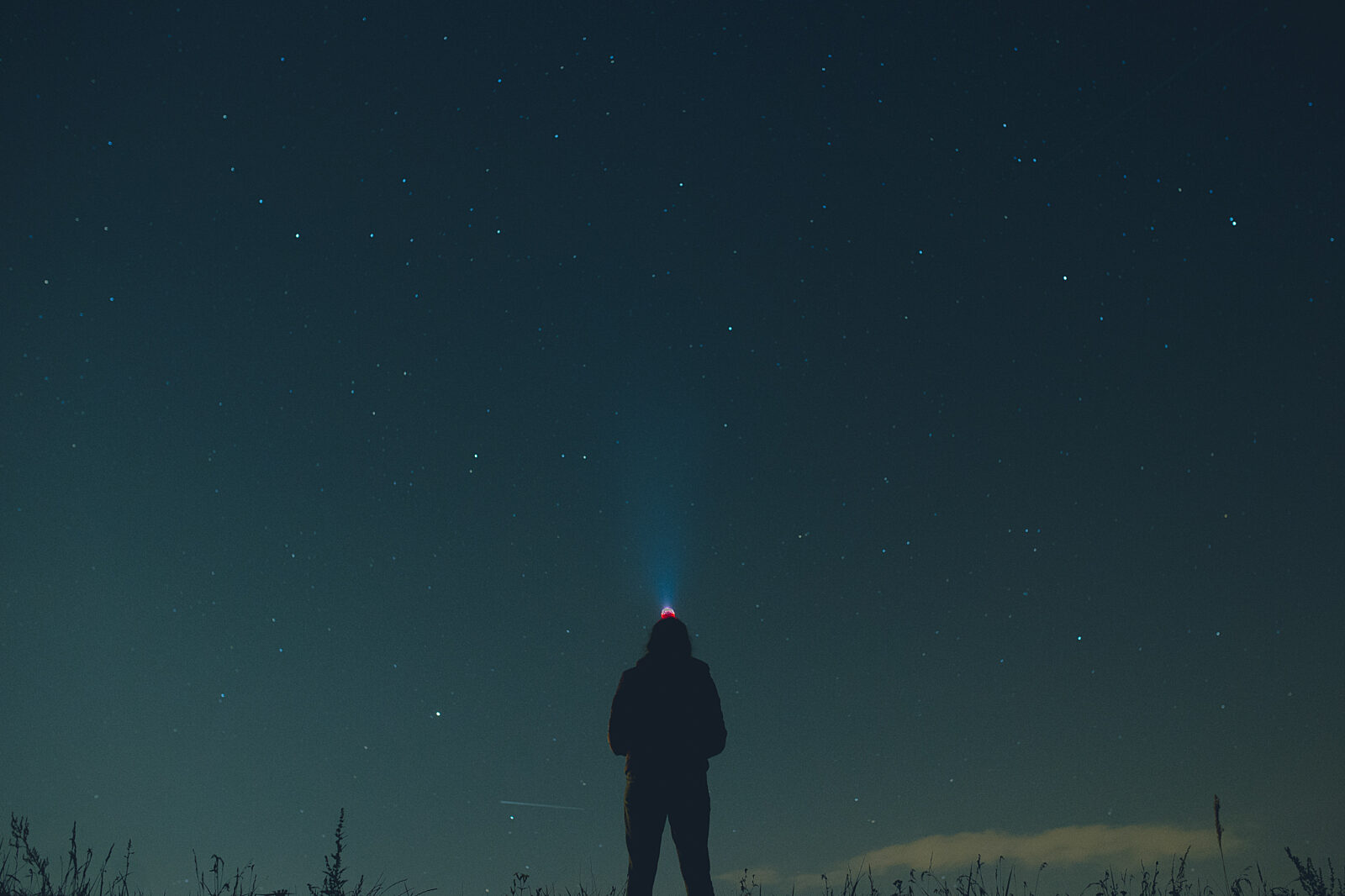 Kosmos fot Wojciech Mateusiak