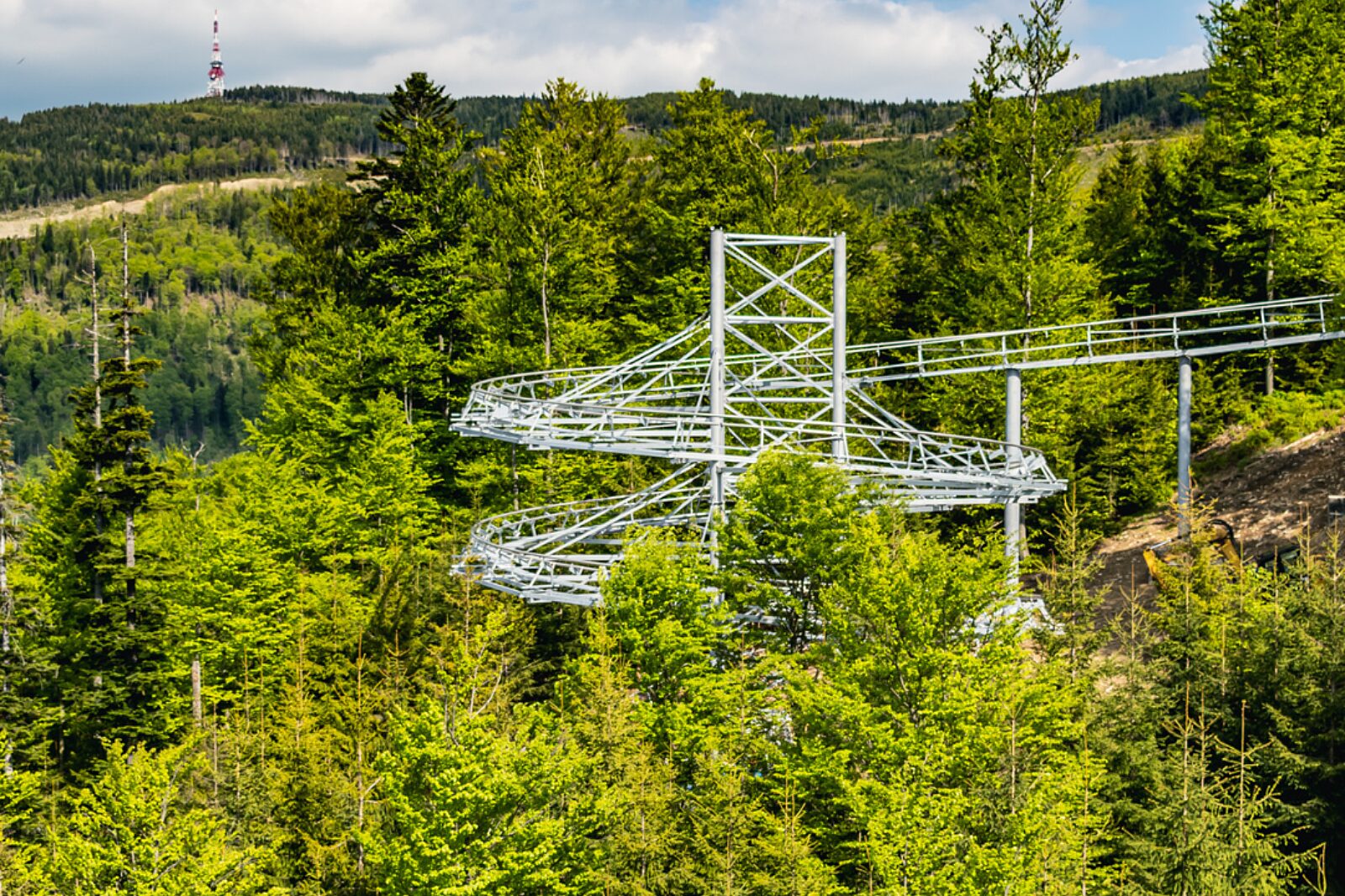 Salamandra alpina coaster 3