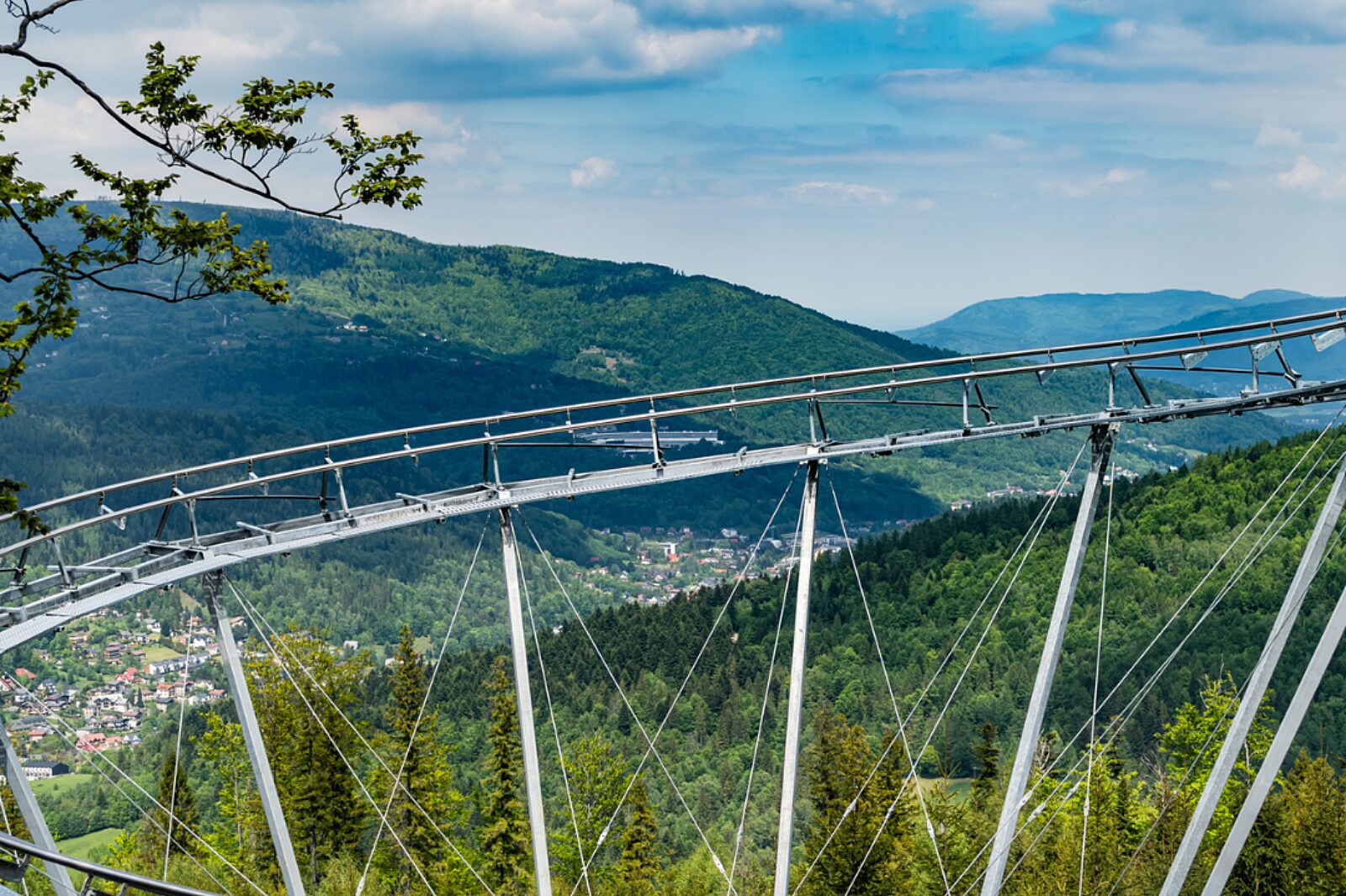 Salamandra alpina coaster 4