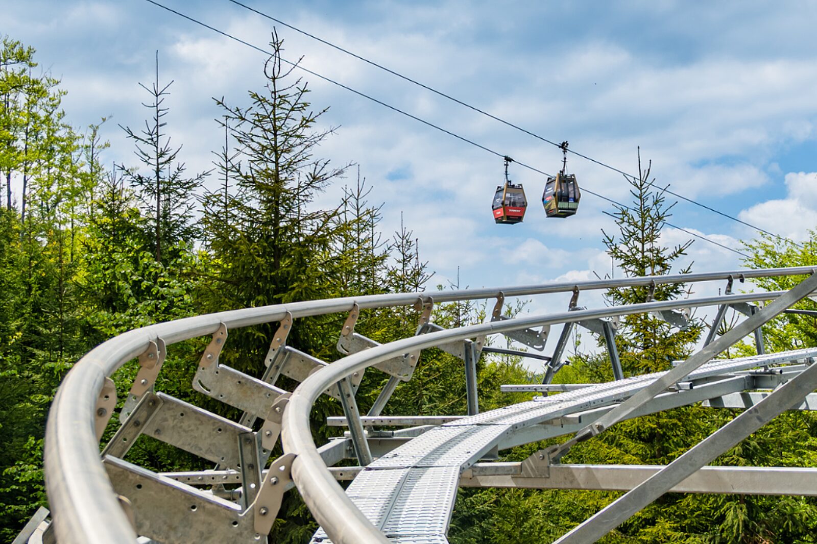 Salamandra alpina coaster 5