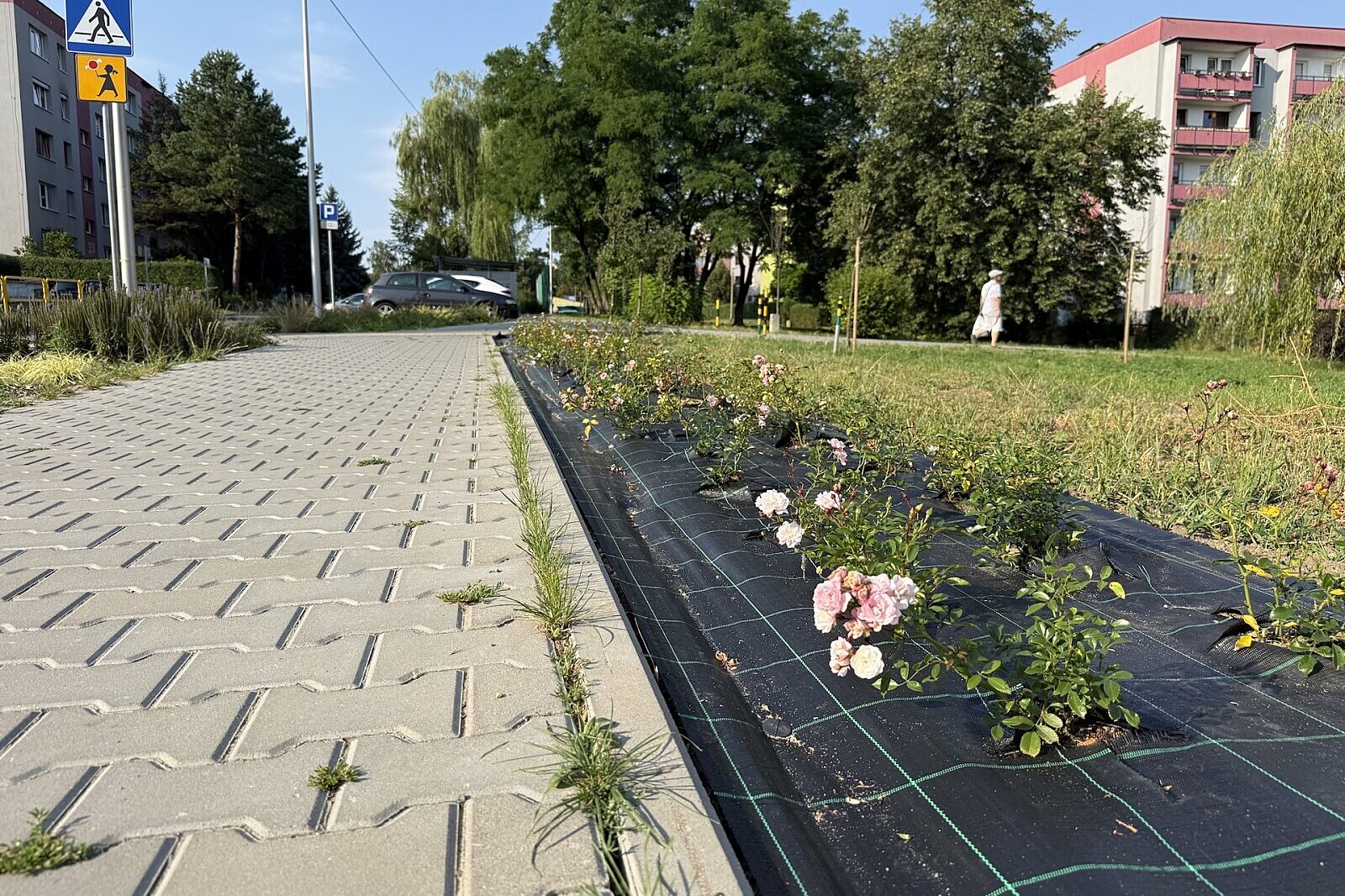 Bytom miechowice przebudowa drog 4