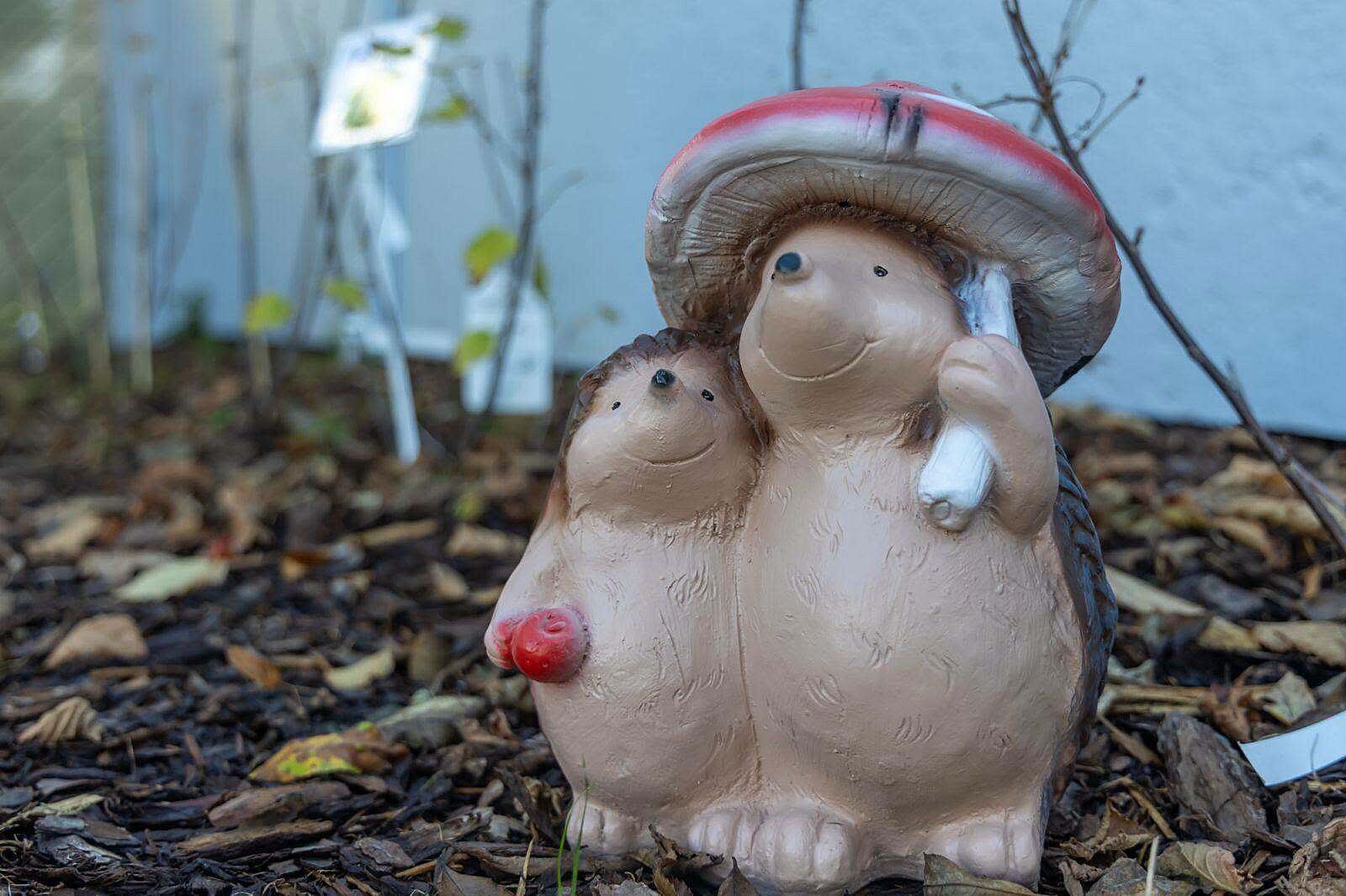 Ekoprzedszkolak buczkowice 7