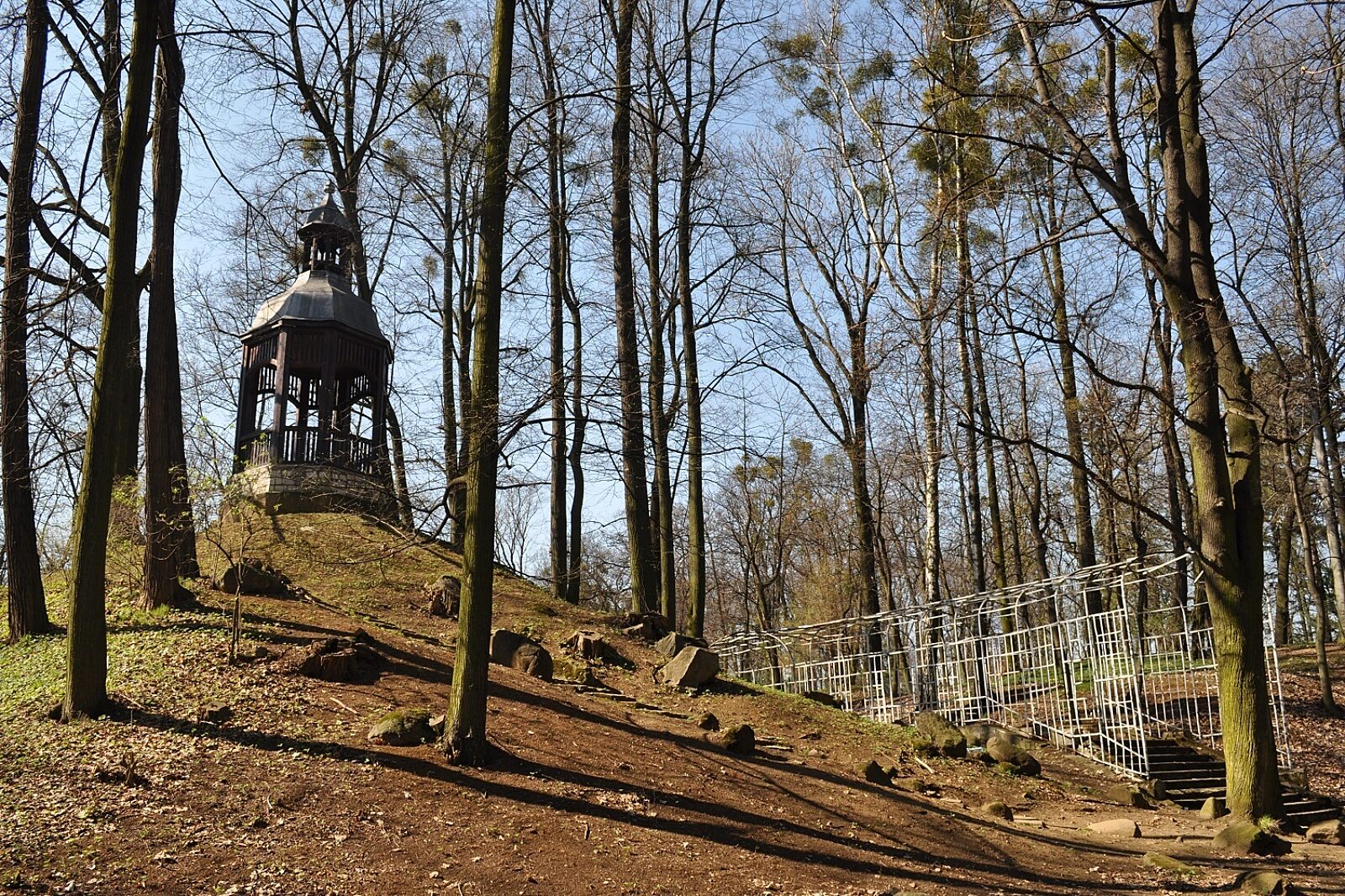 Park miejski tarnowskie gory 1