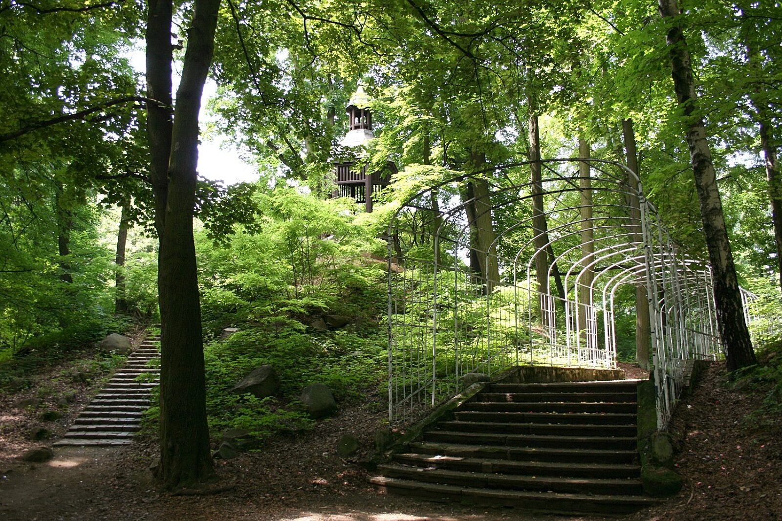 Park miejski tarnowskie gory 2