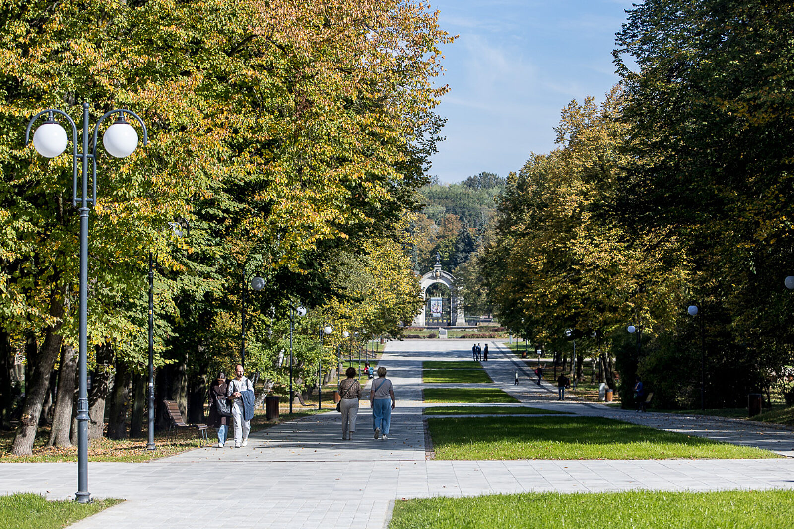 Park slaski aleja zyrafy 1