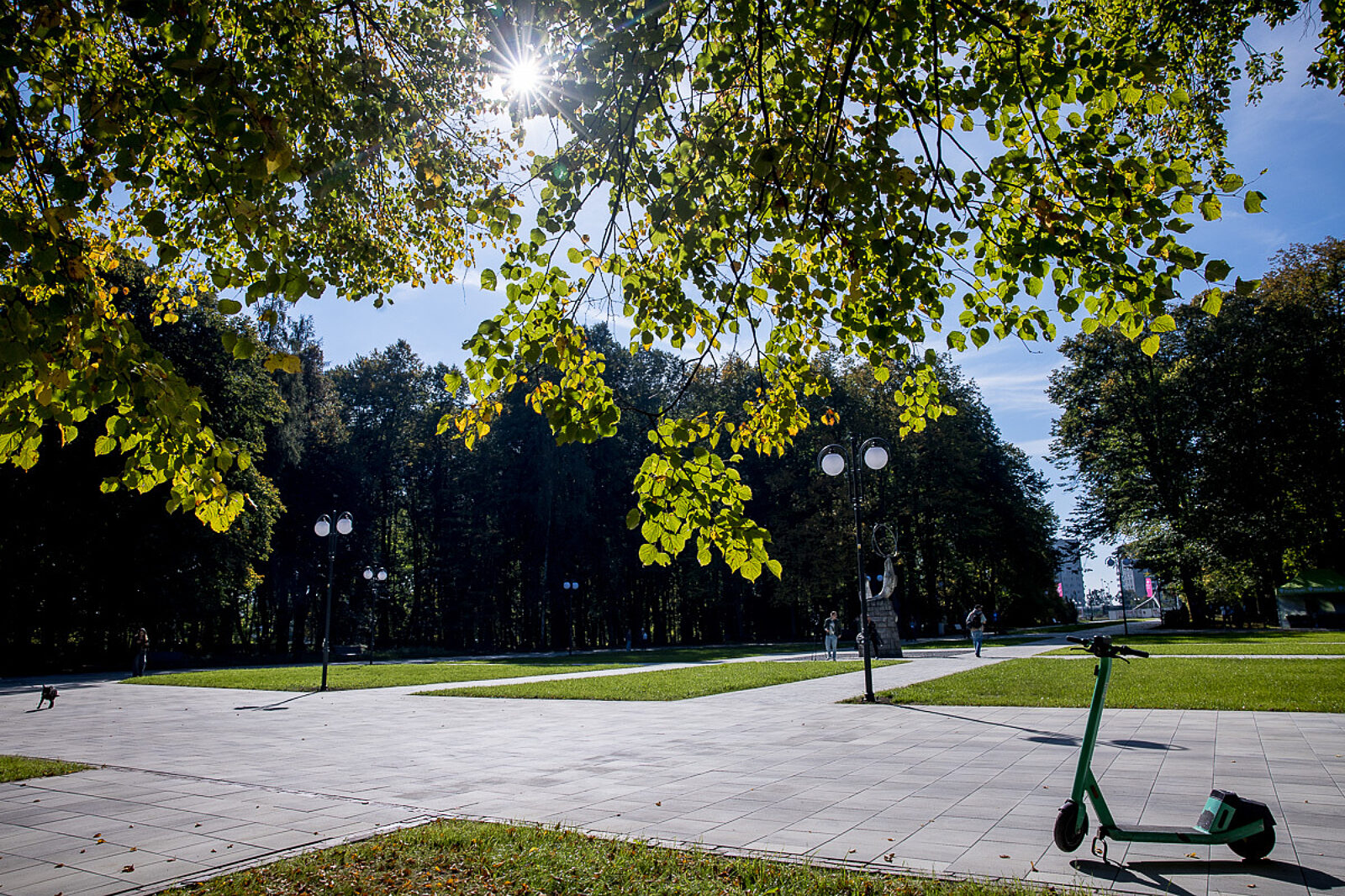 Park slaski aleja zyrafy 7