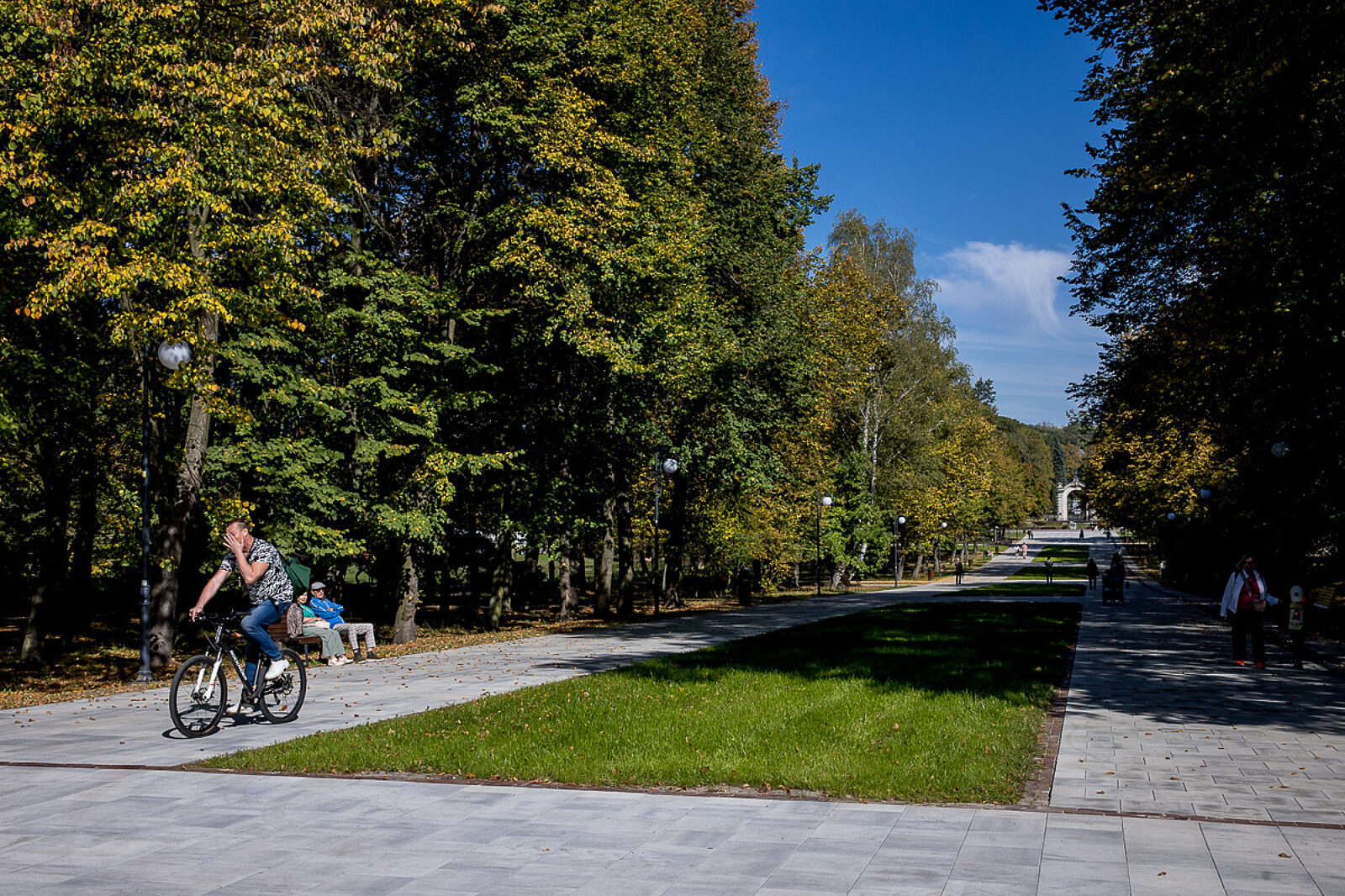Park slaski aleja zyrafy 8