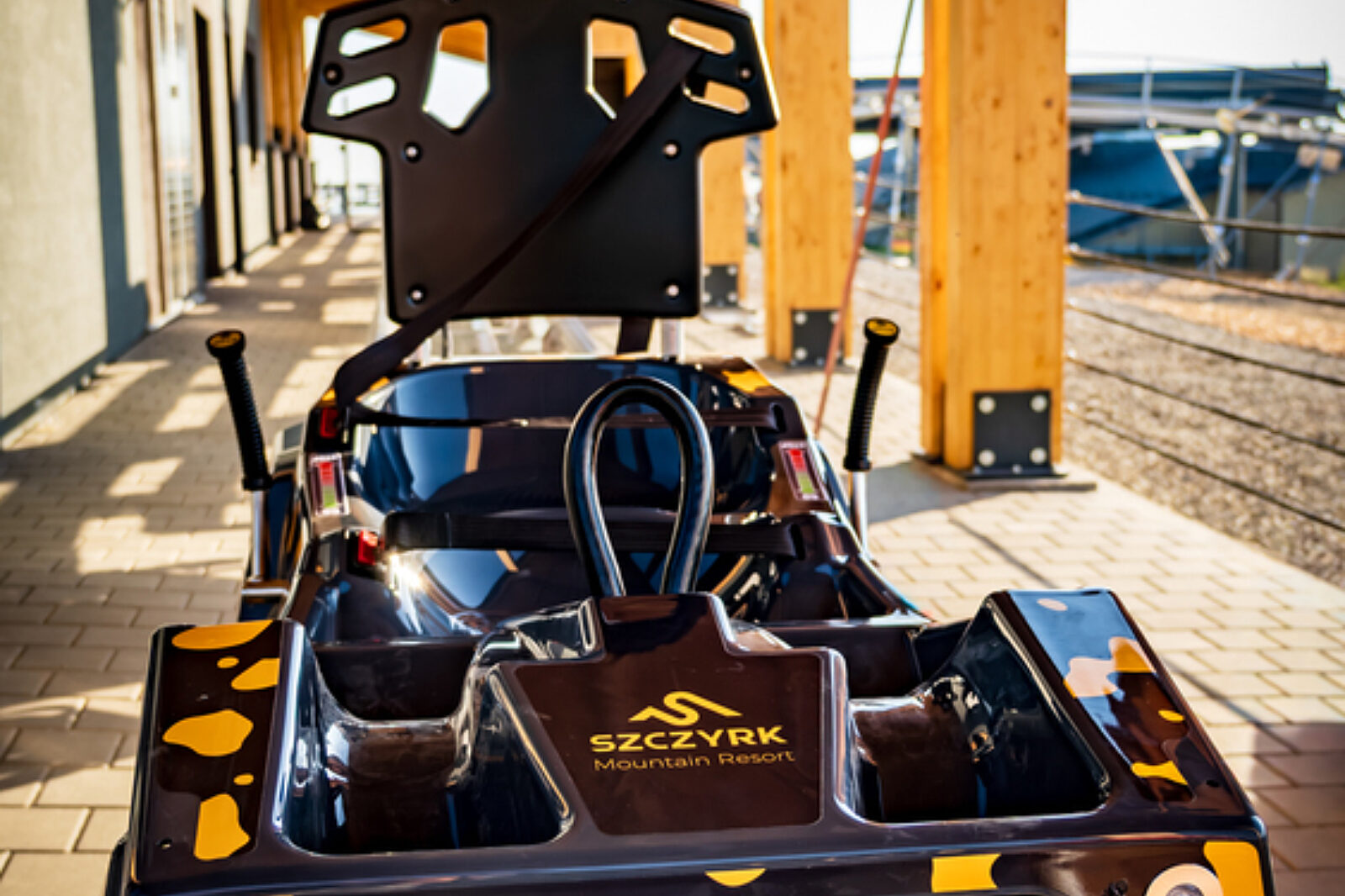 Salamandra alpina coaster 3