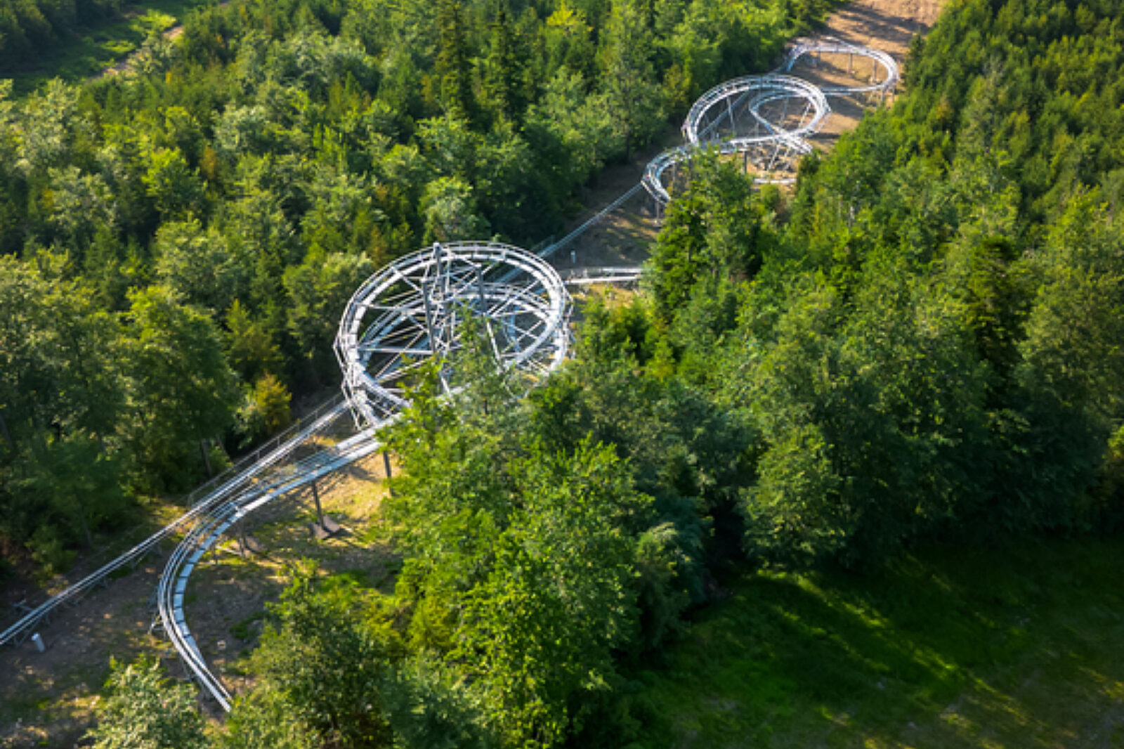 Salamandra alpina coaster 4
