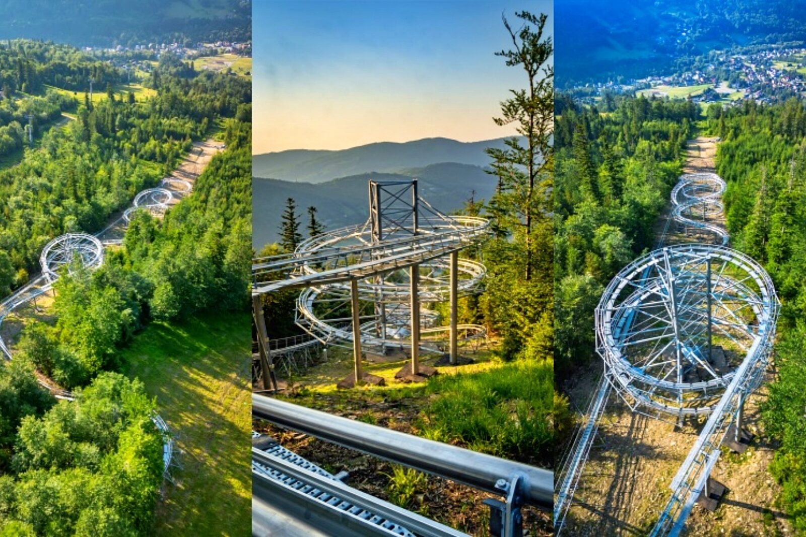 Salamandra alpina coaster 5