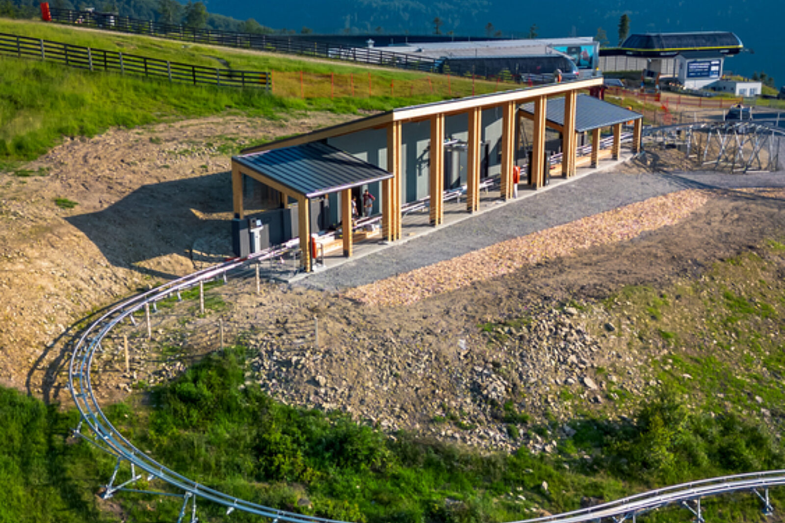 Salamandra alpina coaster 7