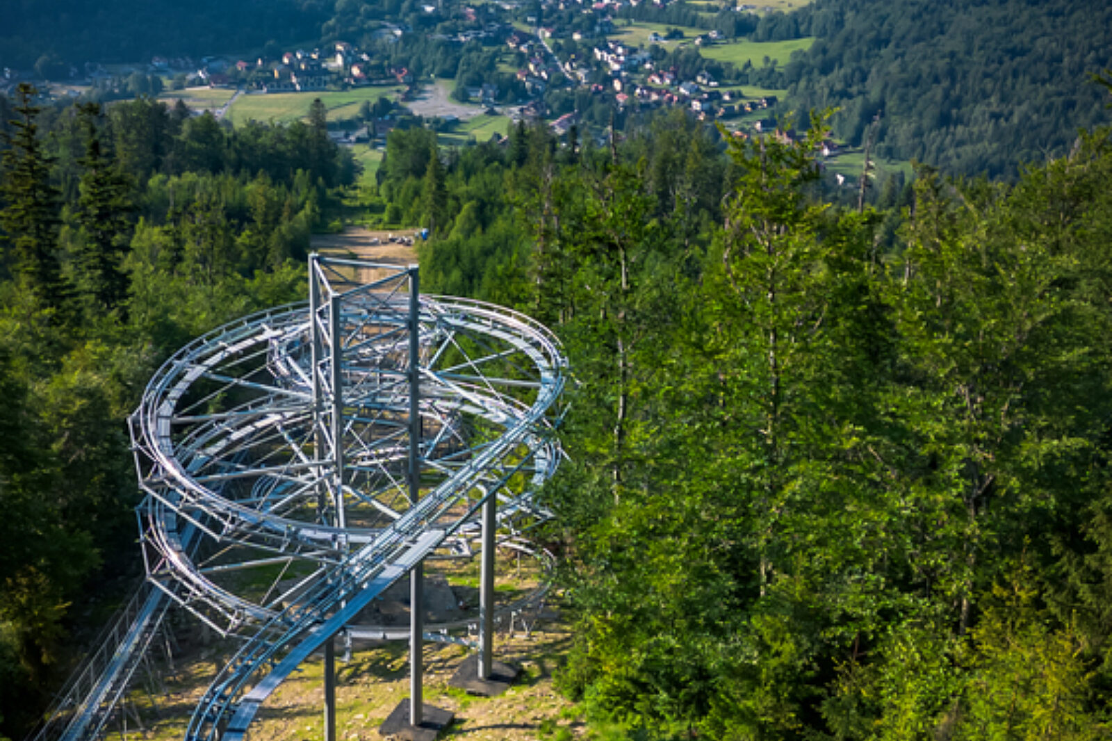 Salamandra alpina coaster 8