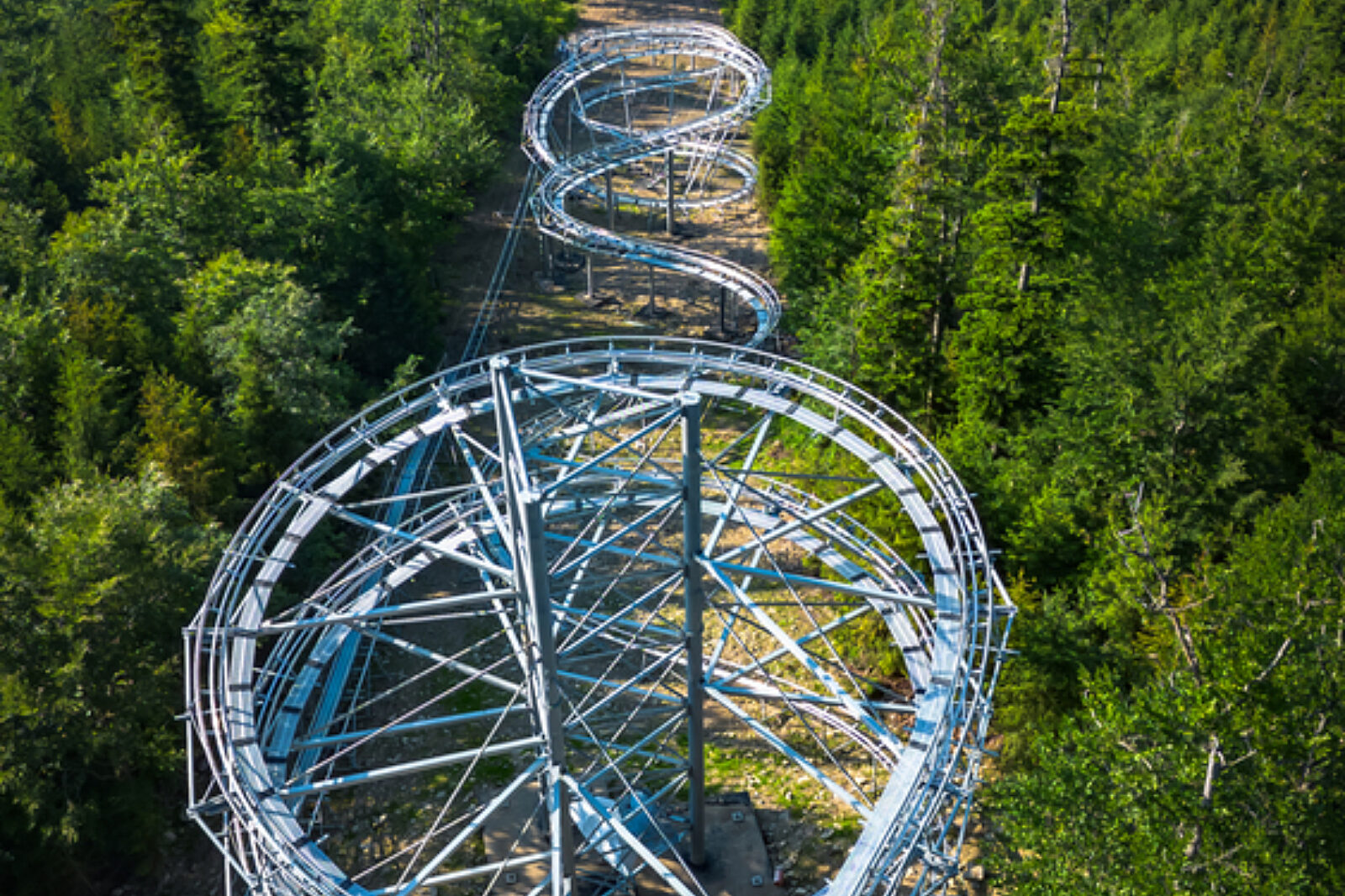 Salamandra alpina coaster 9