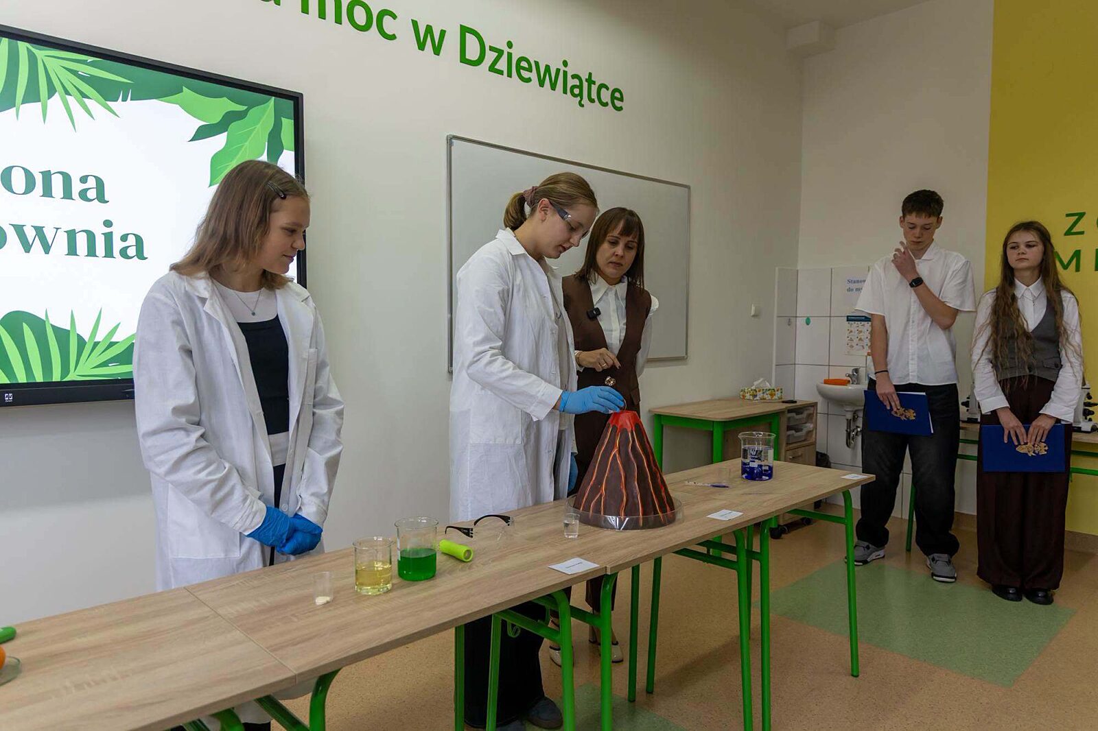 Zywiec zielone pracownie 13