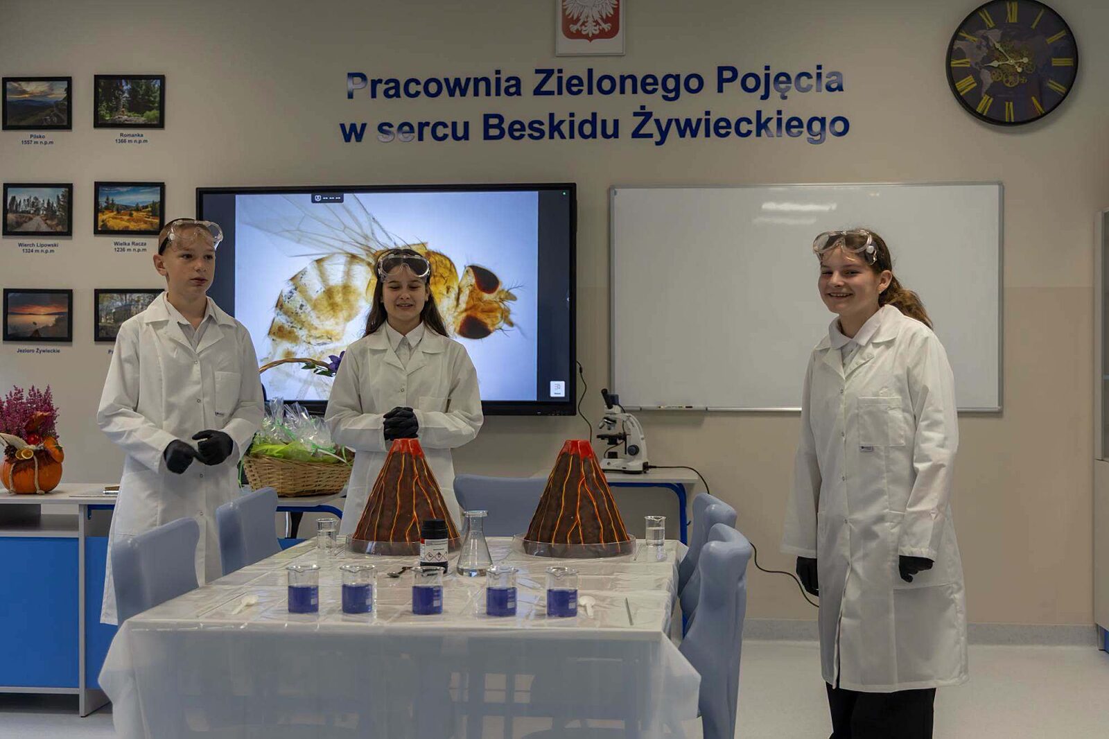 Zywiec zielone pracownie 5