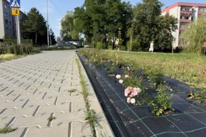 Bytom miechowice przebudowa drog 4