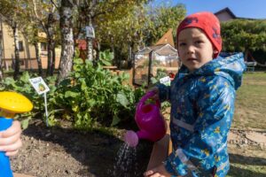 Ekoprzedszkolak buczkowice 21