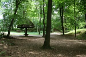 Park miejski tarnowskie gory 3