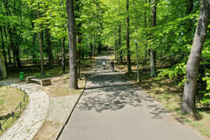 Park miejski tarnowskie gory 5