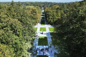 Park slaski aleja zyrafy 12
