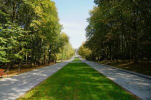 Park slaski aleja zyrafy 13