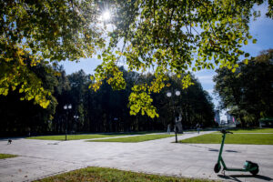 Park slaski aleja zyrafy 7