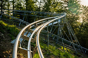 Salamandra alpina coaster 14