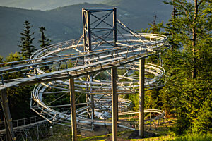 Salamandra alpina coaster 15