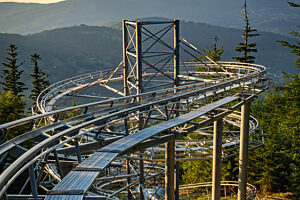 Salamandra alpina coaster 16