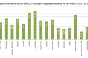 Zadluzenie1