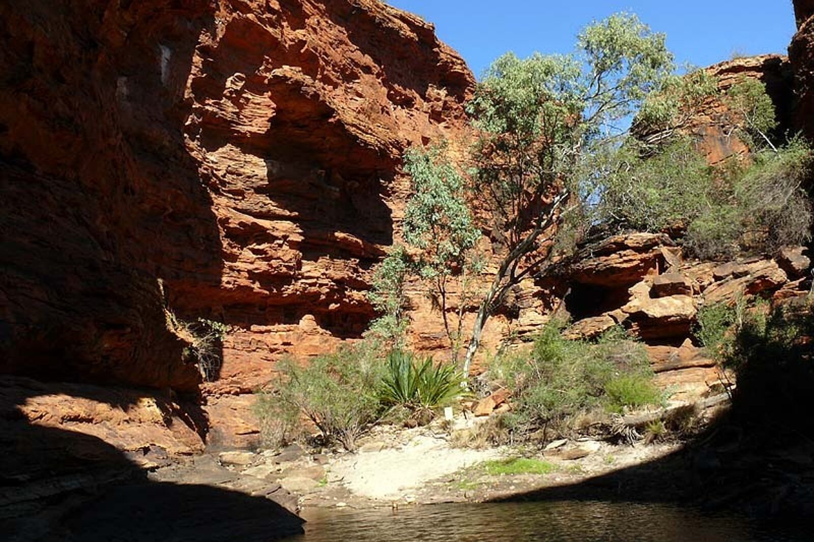 1331119917 skrzeczyna podroze 01 10